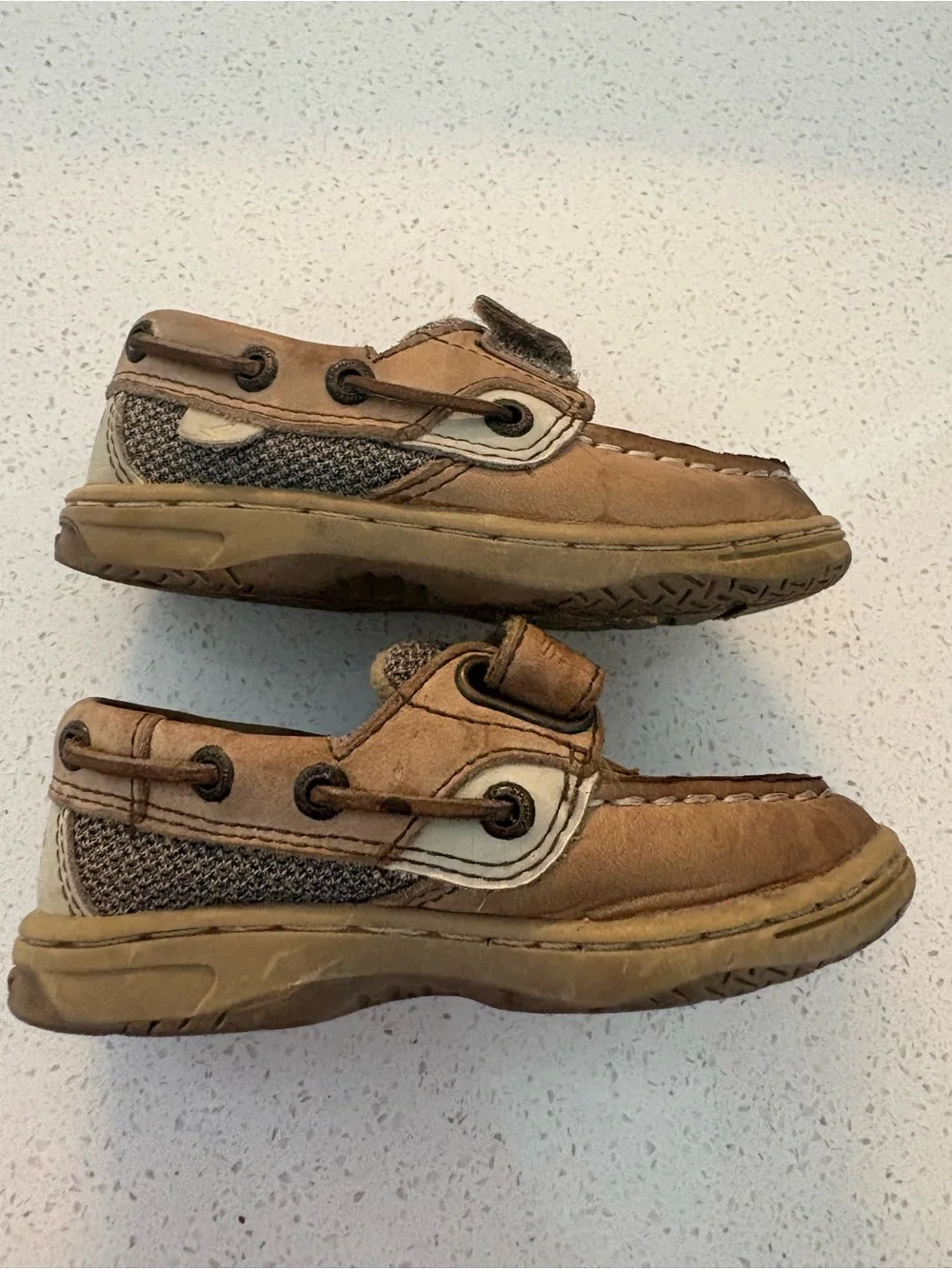 Sperry shoe itself